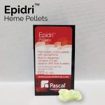 Epidri.jpg