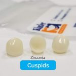 Zirconia-Cuspids.jpg