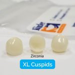 XL Cuspid Refills
